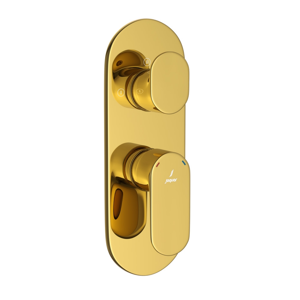 Picture of Aquamax Exposed Part Kit of Single Lever Shower Mixer - Gold Bright PVD